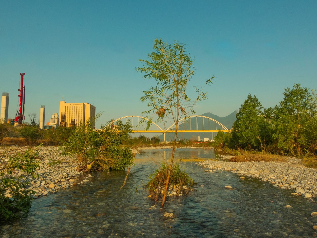 ¡Se canceló el viaducto&nbsp;elevado!